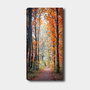 Wallity Lienzo Decorativo Multicolor 50 x 120 cm